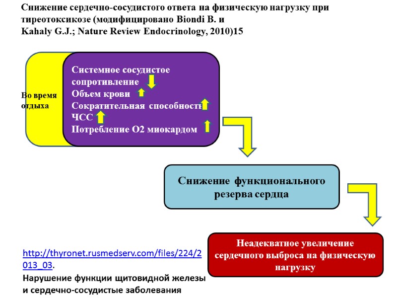 ВО СЧСЧСМ Системное сосудистое сопротивление  Объем крови  Сократительная способность  ЧСС 